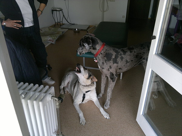 med_Mach mich nicht an!.jpg (600 x 450)